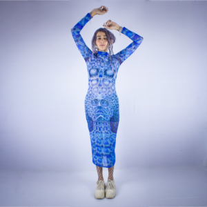 Arctic Vision Mesh Dress