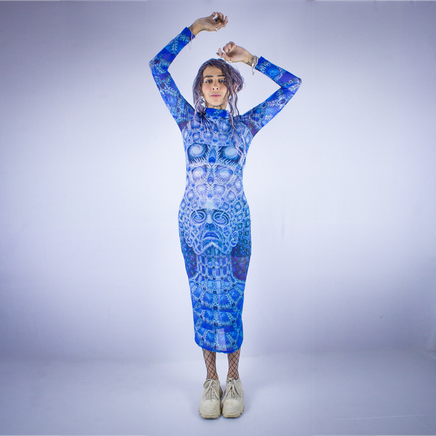 Arctic Vision Mesh Dress